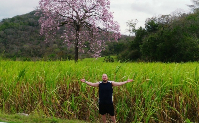  Experimente a natureza